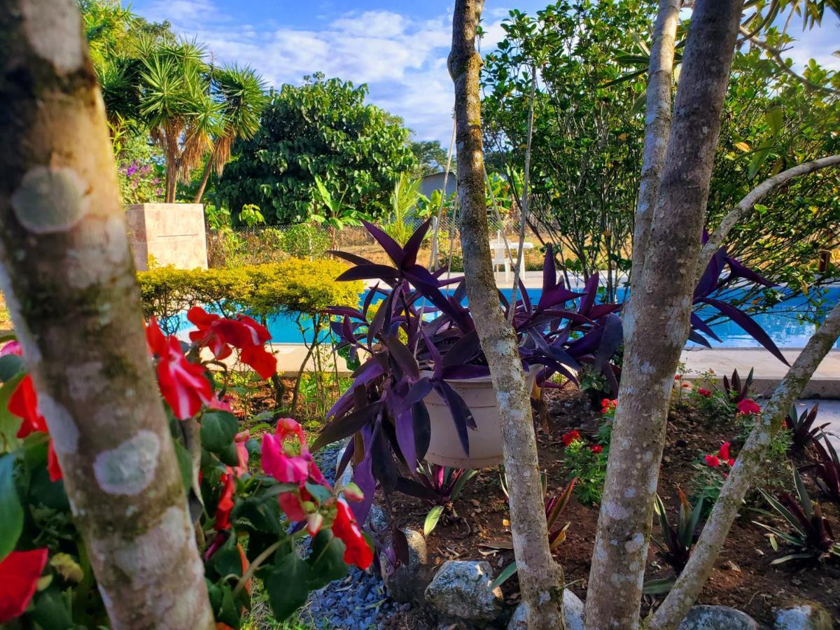 Casa Blanca Hortencia Sucua エクステリア 写真